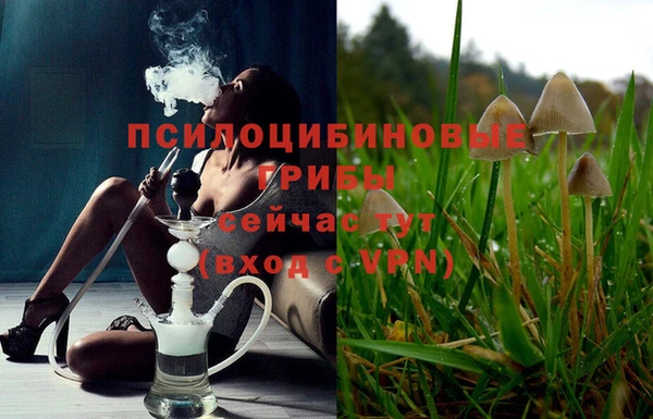марихуана Абаза