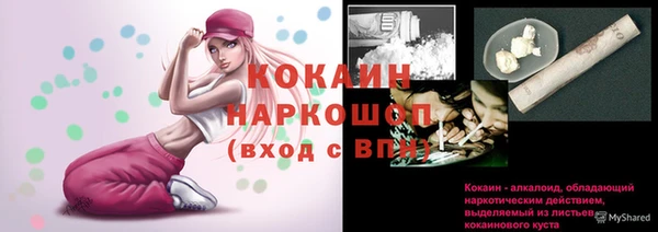 Альфа ПВП Новозыбков